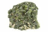 Lustrous Epidote Crystal Cluster - Morocco #224821-1